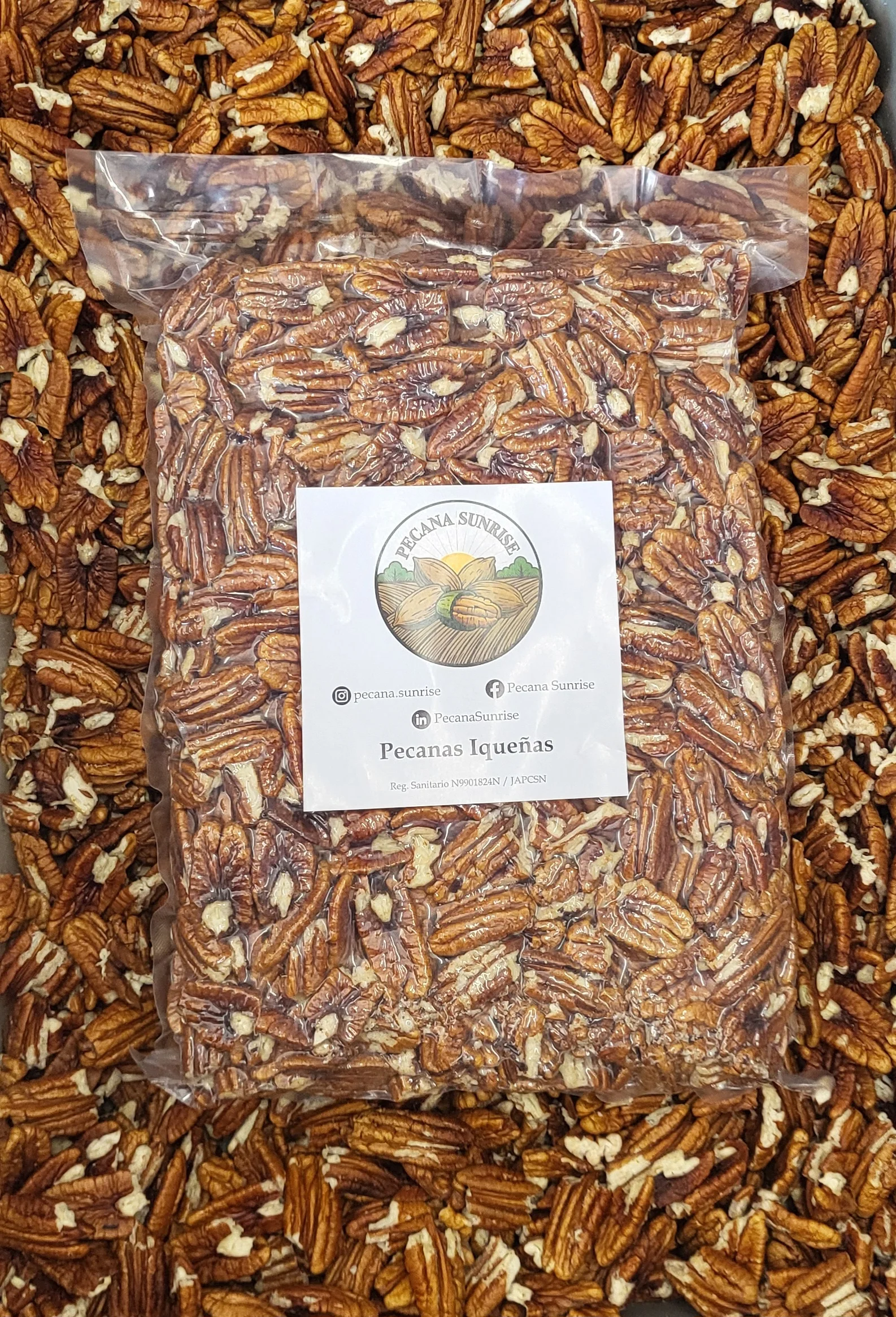 Cosecha de pecana Mahan en campo de Ica - Pecana Sunrise