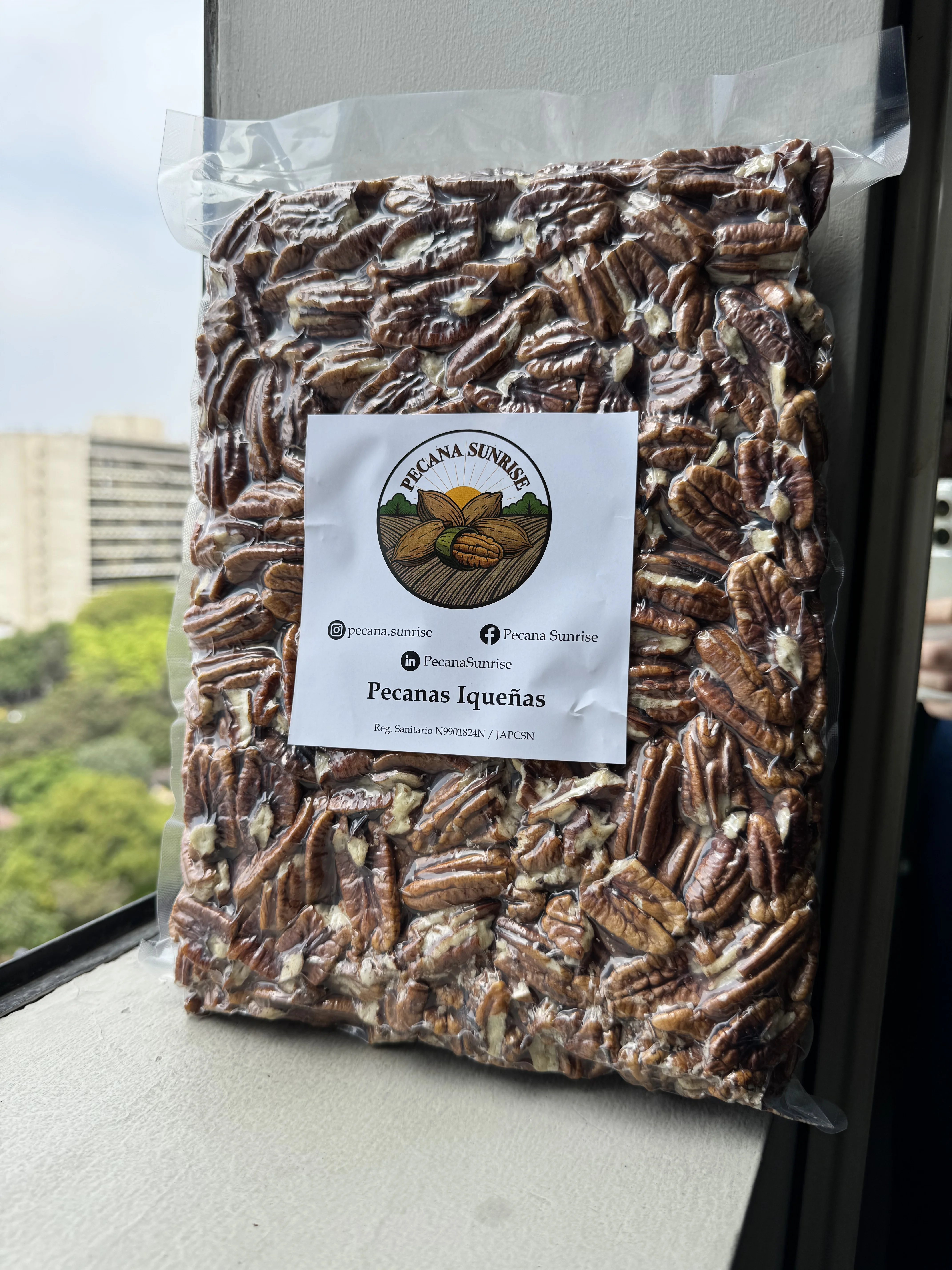 Campo de pecano Mahan en Santiago, Ica - Pecana Sunrise