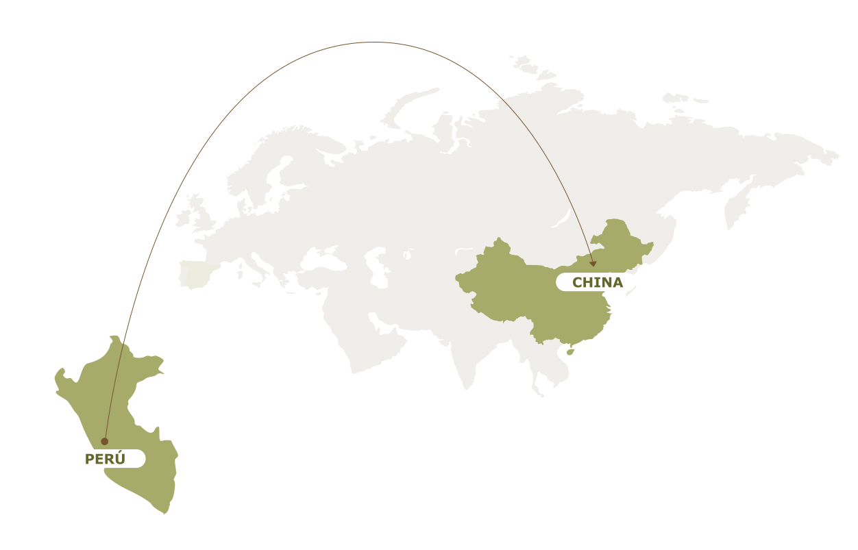 Mapa de exportación de pecanas desde Perú a China