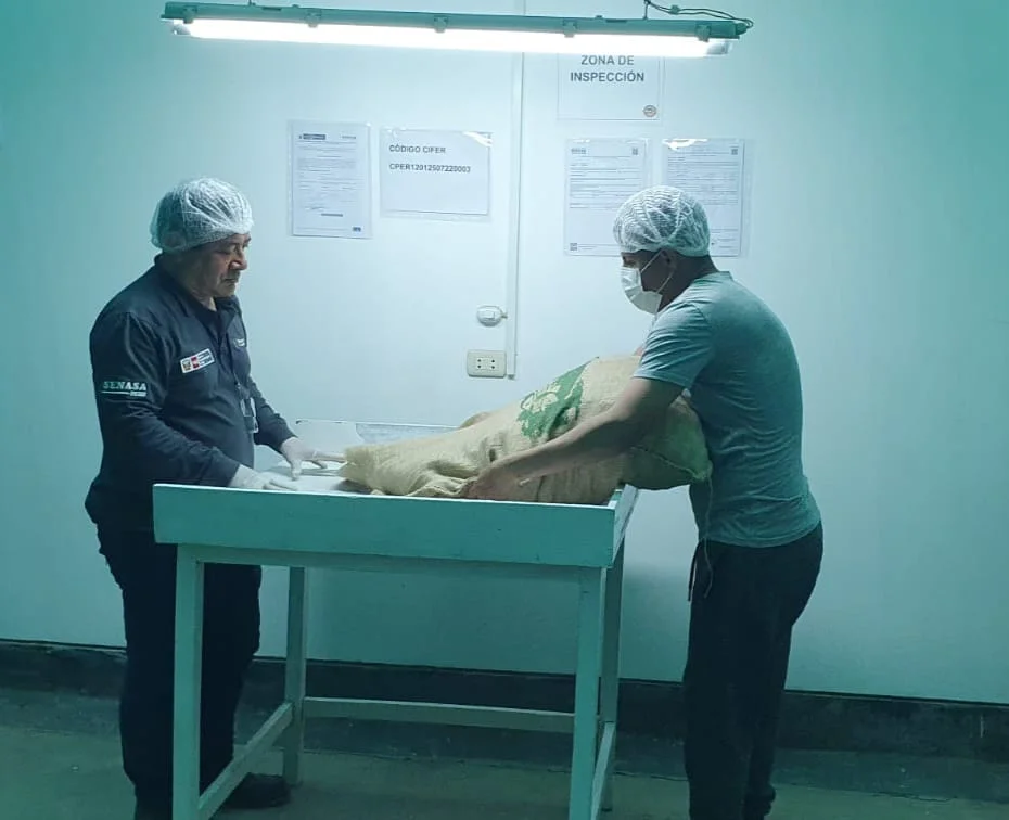 validacion de pecana 