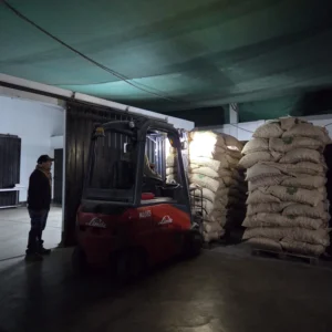 pecana exportacion