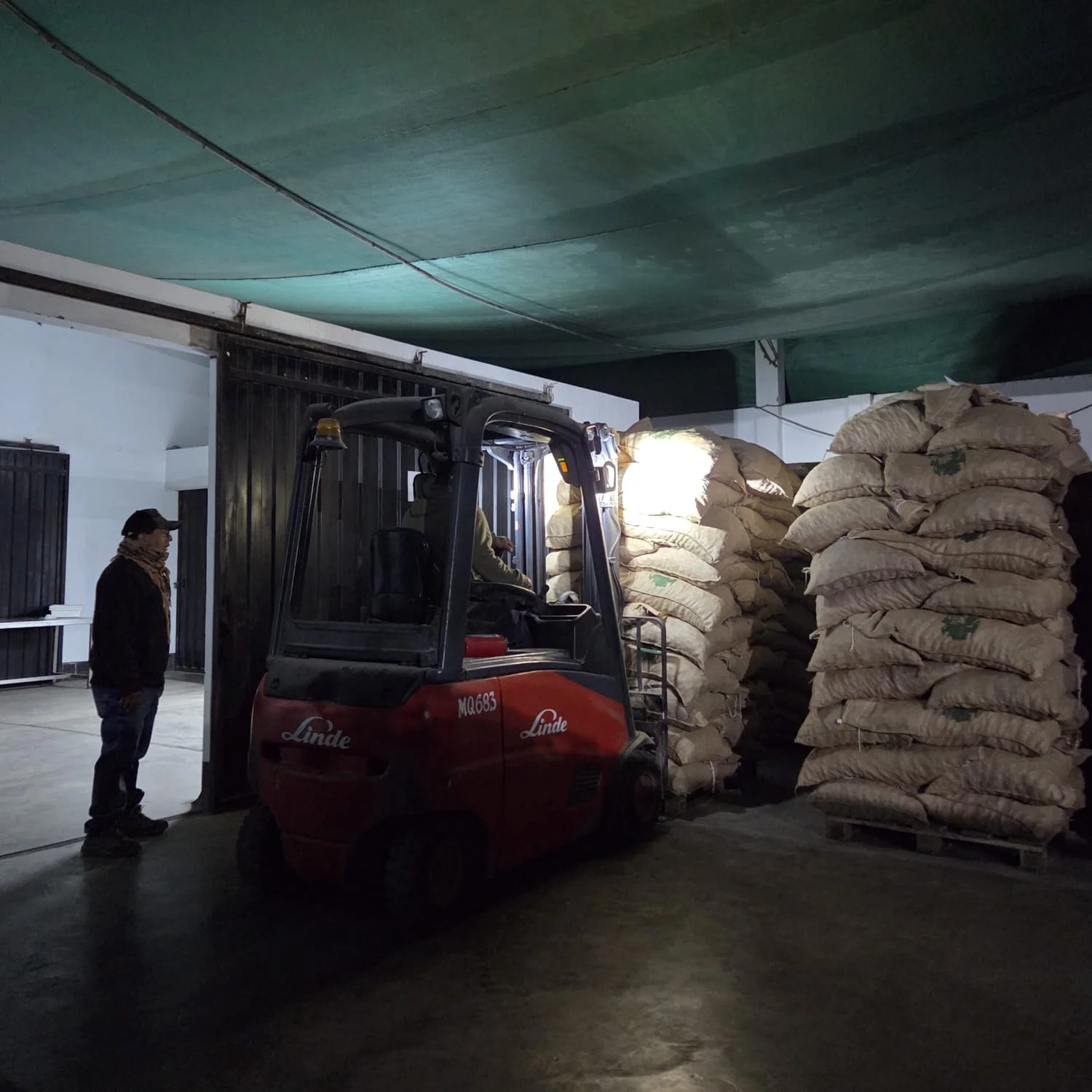pecana exportacion
