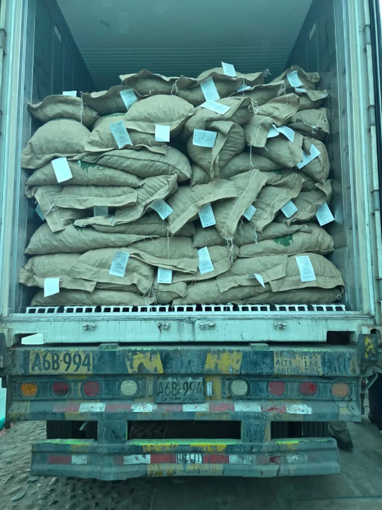 traslado exportacion