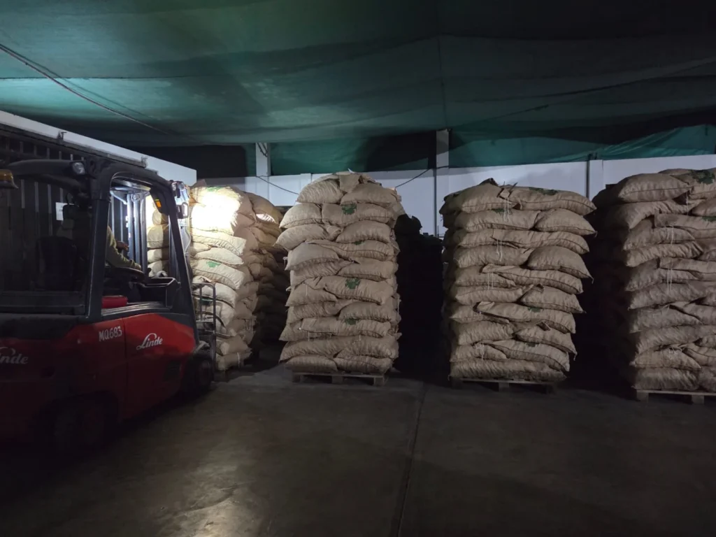exportacion pecana mahan