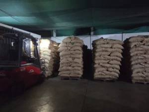 exportacion pecana mahan