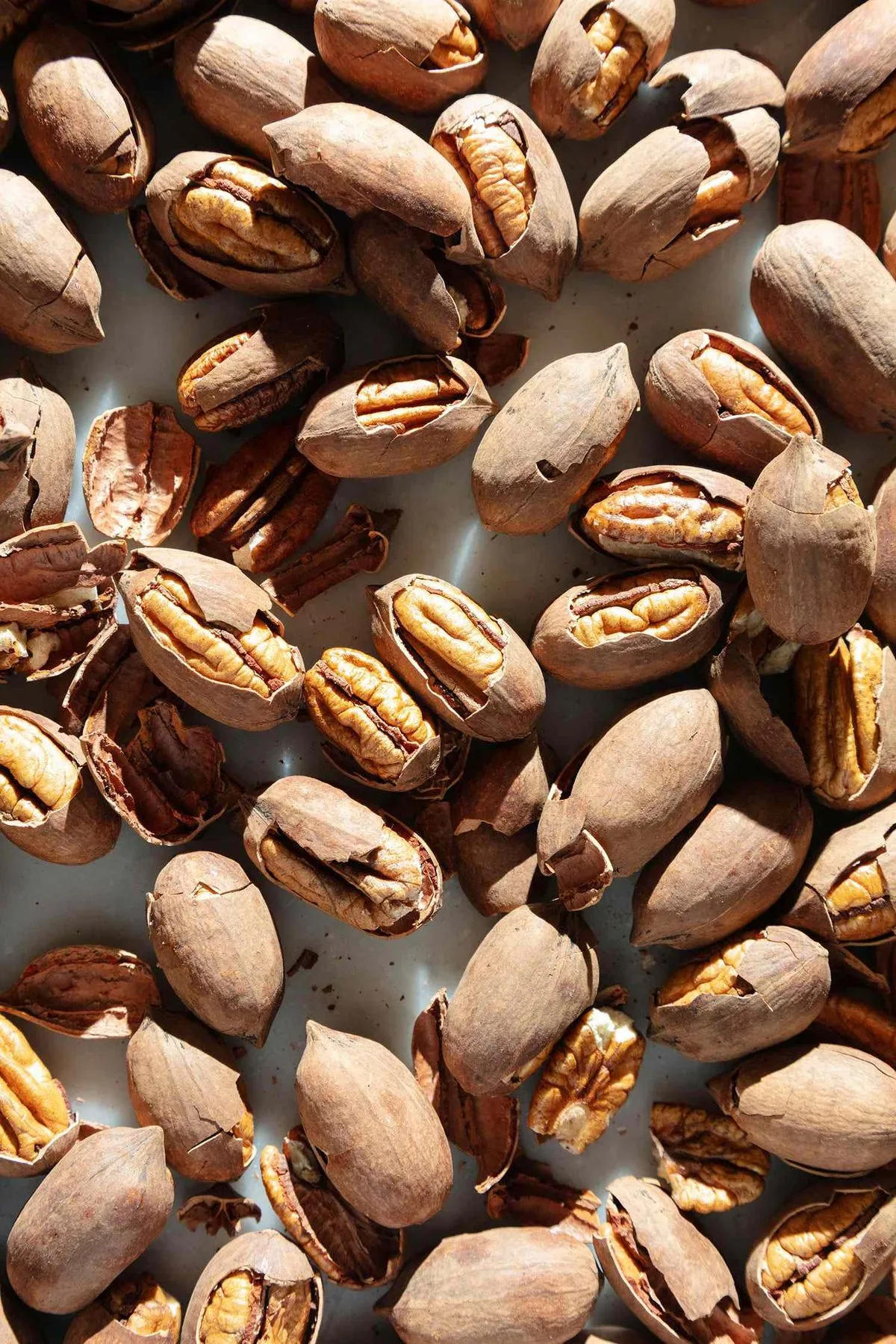 PECANA ENTERA VENTA AL POR MAYOR PECANA MAHAN LIMA