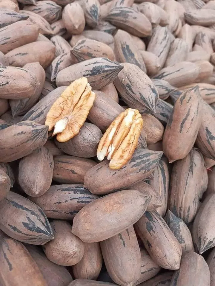 PECANA MAHAN VENTA AL POR MAYOR LIMA