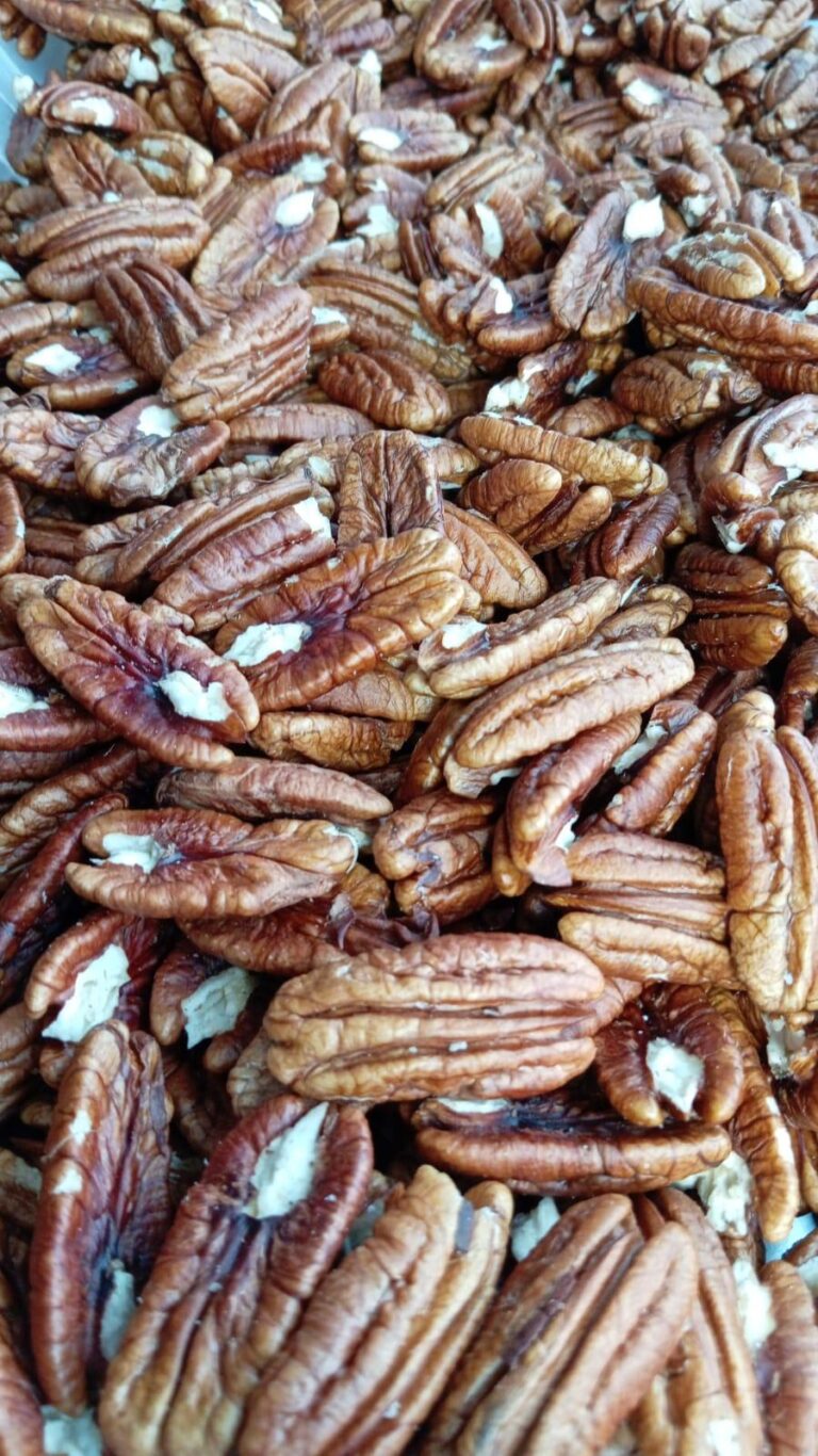 TAPA MAHAN